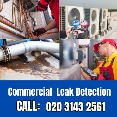 Commercial Leak Detection Services in Roehampton | Roehampton Leak Detection