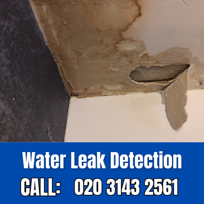 Expert Water Leak Detection Services in Roehampton | Roehampton Leak Detection